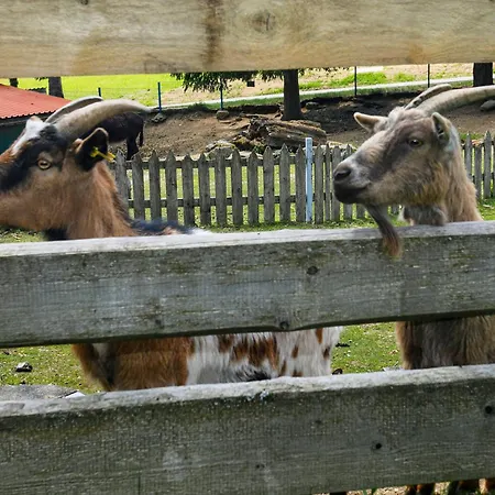 Kemping Knaus Campingpark Lackenhaeuser Neureichenau